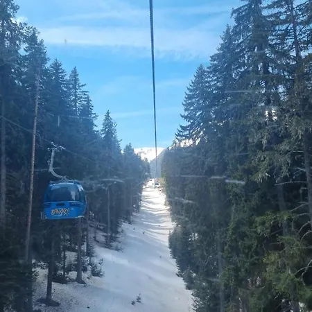 Mountain Dream C7 *